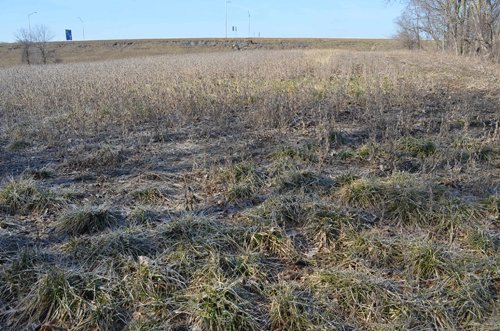 Property photo 24 - East Allen County - 55 Acre Land Auction